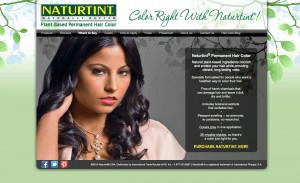 Image of Naturtint USA website